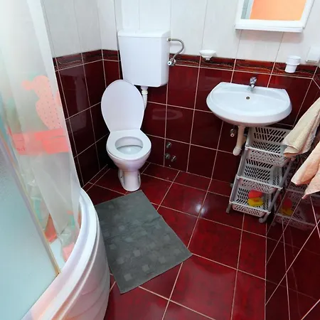 Gasthuis Radivojevic Sokobanja